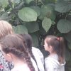 Экскурсия в ботанический сад 2Б